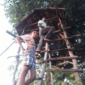 GreenBees Nature Farm